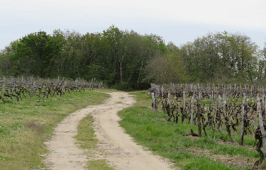  BAIGNES - 5 KM-charente