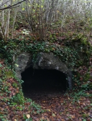 BOUEX - LE CHENE RUCHER-charente