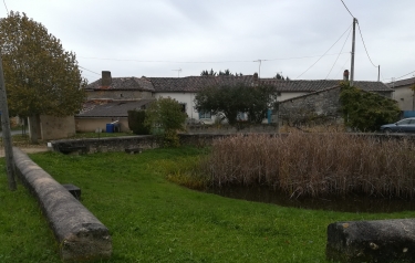 VOUZAN - MIRANDE-charente