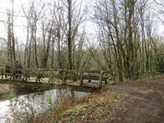 LA TRICHERIE - LE CHAMBON-charente