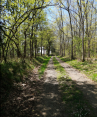 CHANTREZAC - SENTIER DE LA FAYE-charente