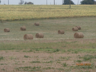 AUTOUR DE SAINT-GERMAIN-DE-MONTBRON-charente