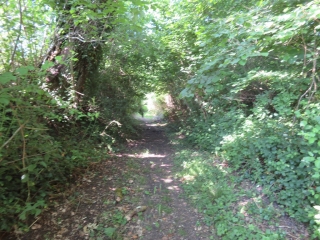 RANDO CHILLAC 11 KM-charente