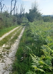 CIRCUIT EN BOUCLE DE 25 KM AU SUD DE MAGNAC-charente