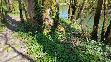 MARSAC NORD-charente