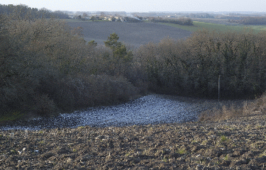 LES TERRES PELEES-charente