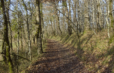 LES TERRES PELEES-charente