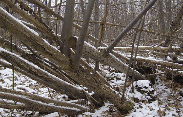 SENTIER DES POTIERS -charente