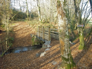 SENTIER DES FORETS DE LOUBERT-charente