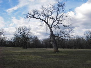 VADALLE - SENTIER DE L ERMITAGE-charente