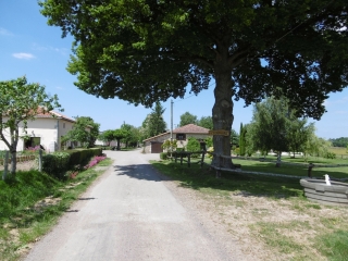 AMBERNAC - SENTIER AMBOURIANE-charente