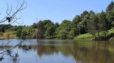 RIOUX - MARTIN ENTRE LANDES ET FORETS-charente