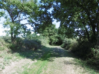 EPENEDE - LES SAPINS (ANCIEN CIRCUIT)-charente
