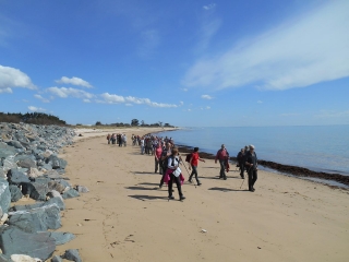 ILE DE RE - POINTE DE CHAUVEAU-charente-maritime