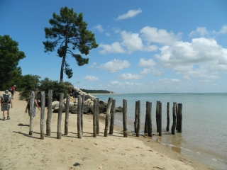 ILE D OLERON - POINTE DE GATSEAU-charente-maritime
