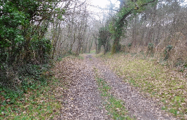 LE FOUILLOUX 17 KM-charente-maritime