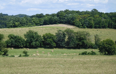 MONTLIEU-LA-GARDE 14 KM-charente-maritime