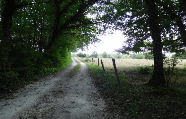ORIGNOLLES 11 KM-charente-maritime