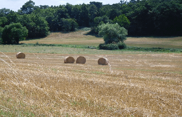 ORIGNOLLES 11 KM-charente-maritime