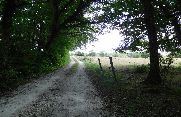 ORIGNOLLES 11 KM-charente-maritime