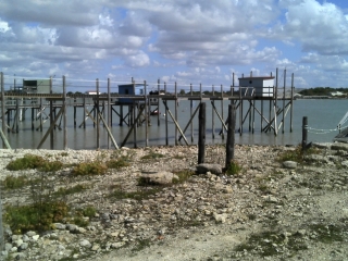ANGOULINS - POINTE DU CHAY-charente-maritime