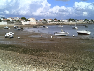 ANGOULINS - POINTE DU CHAY-charente-maritime