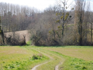 VALLET - 6 KM-charente-maritime