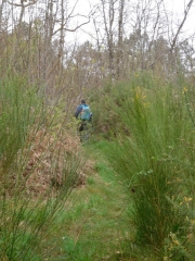 CHEPNIERS - 9 KM-charente-maritime