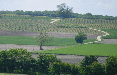 SAINT-MAURICE-DE-TAVERNOLE - 5 KM-charente-maritime