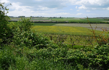 SAINT-MAURICE-DE-TAVERNOLE - 5 KM-charente-maritime