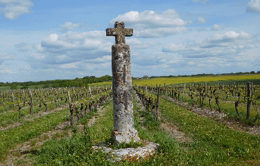 REAUX 5 KM-charente-maritime