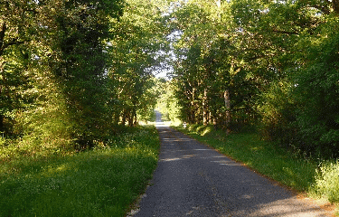 BOSCAMNAT - 12 KM-charente-maritime