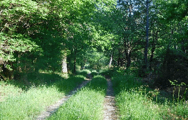 BOSCAMNAT - 12 KM-charente-maritime