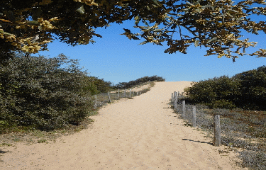 BOYARD VILLE PLAGE 6 KM-charente-maritime