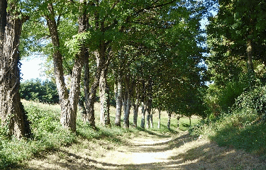 FONTAINES D OZILLAC - 5 KM-charente-maritime