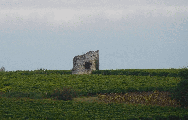  BRAN 6 KM-charente-maritime