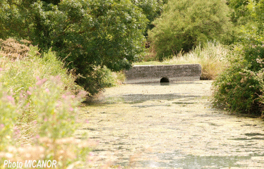 Port des Barques-charente-maritime