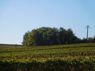 CHAMPAGNAC - 5 KM-charente-maritime