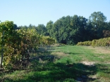 CHAMPAGNAC - 5 KM-charente-maritime