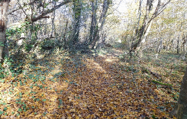 CHARTUZAC 10 KM-charente-maritime