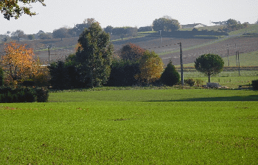 CHARTUZAC 10 KM-charente-maritime