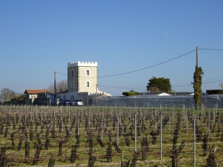 LA COUARDE-SUR-MER ET LE BOIS HENRY IV -charente-maritime