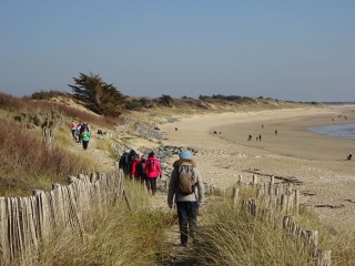 LA COUARDE-SUR-MER ET LE BOIS HENRY IV -charente-maritime