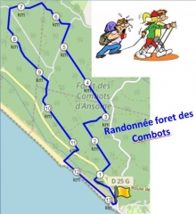  FORET DES COMBOTS (SAINT-PALAIS-SUR-MER - LA PALMYRE)-charente-maritime