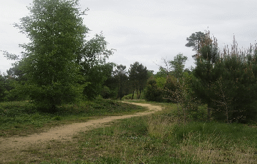 MONTENDRE - RANDO DE 5 KM-charente-maritime