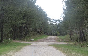 MONTENDRE - RANDO DE 5 KM-charente-maritime