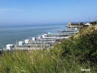 BARZAN-PLAGE - TAMONT-SUR-GIRONDE-charente-maritime