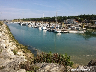 AUTOUR DE LA PALMYRE-charente-maritime