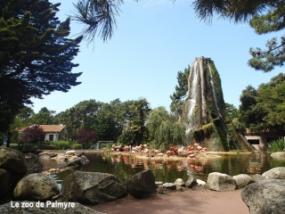 AUTOUR DE LA PALMYRE-charente-maritime