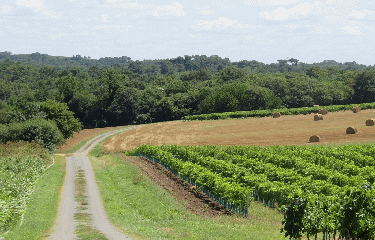 RANDO PETIT NIORT 7 KM-charente-maritime